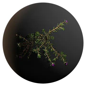 green weed vines 001 — Скачать