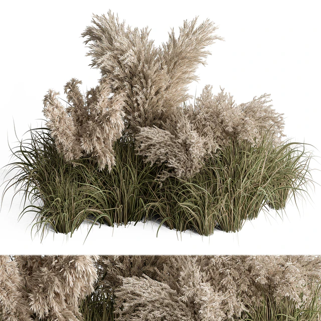Mixed Pampas Plant Bush Set 95 — Descargar