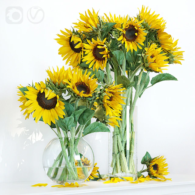 Sunflower1 — Скачать