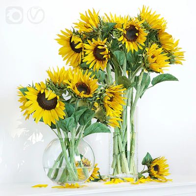 Sunflower1 — Вид 3