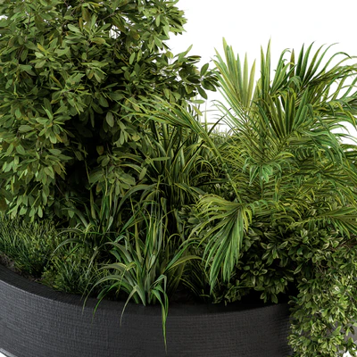 Outdoor Plants tree in Concrete Pot - Set 144 — Вид 5
