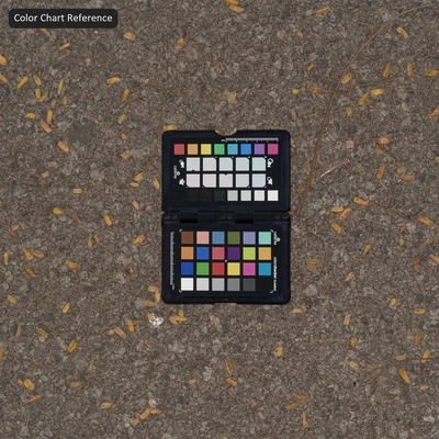 fallen leaves on coarse concrete texture gray — Вид 4