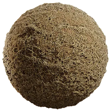 grass dried 015 — Descargar