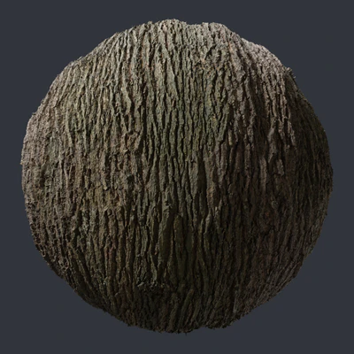 oak bark 002 — скачать