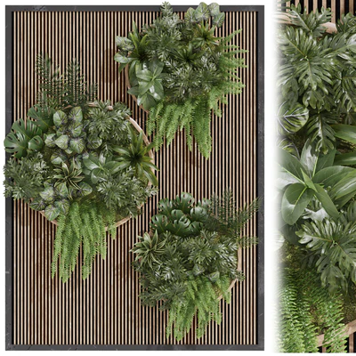 Fitowall garden plants set 23 — скачать