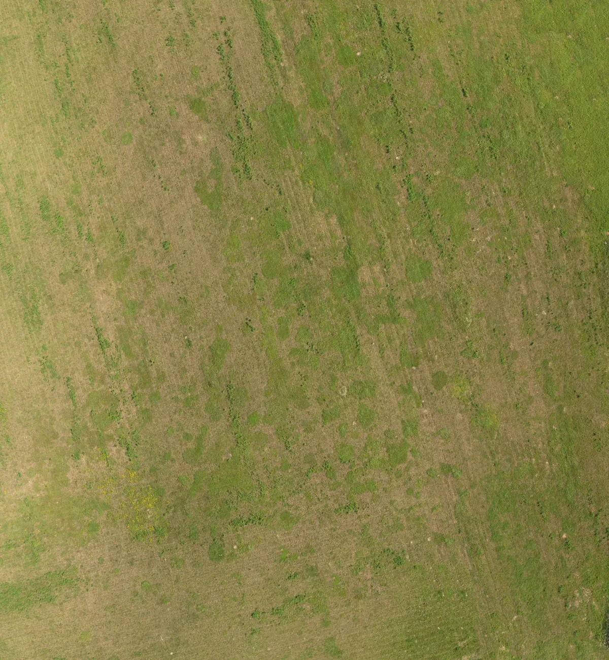 field summer 011 — Descargar