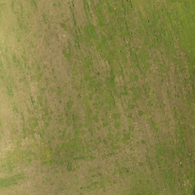 field summer 011 — Descargar