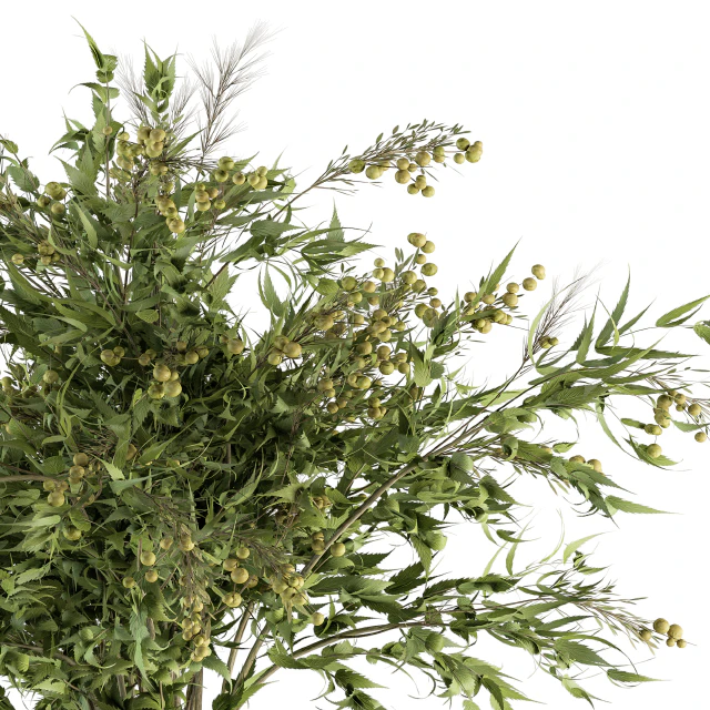 Bouquet - Green Branch in vase 58 — Скачать