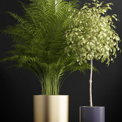 PLANTS 152 — Ver 2