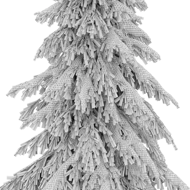 Winter norway spruce — Скачать