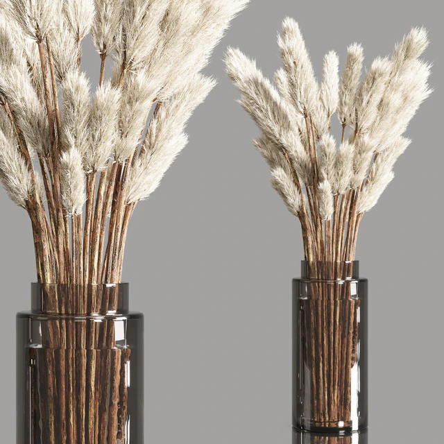 Collection Dry Plants Bouquet Indoor 02 — Descargar