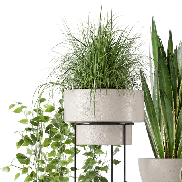 Indoor Plants in rusty Concrete Pot on Metal Shelf - Set 327 — Descargar
