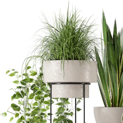 Indoor Plants in rusty Concrete Pot on Metal Shelf - Set 327 — Ver 5