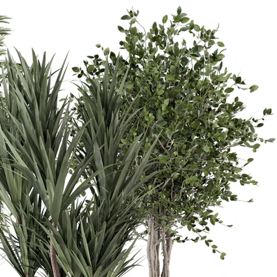 Indoor Plants in Combination of wood & concrete Pot - Set 723 — Вид 6