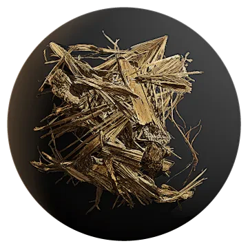 jungle debris pile 001 — Descargar