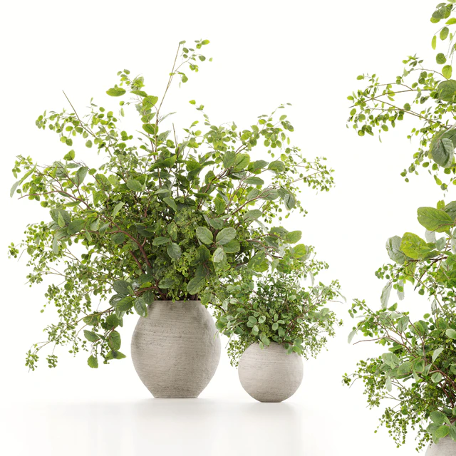 Plants Bouquets 07 — Descargar