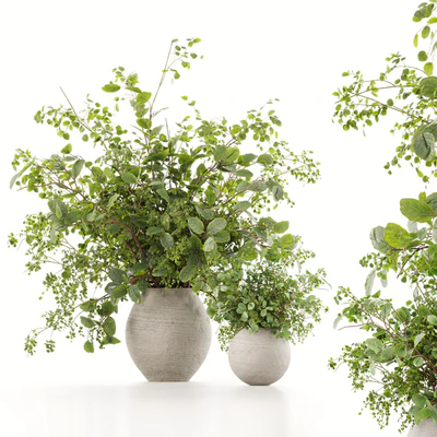 Plants Bouquets 07 — Ver 1