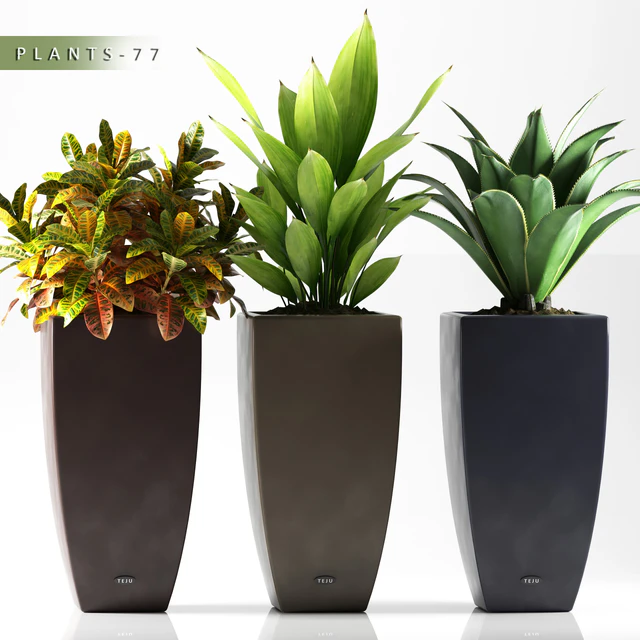 PLANTS 77 — Скачать