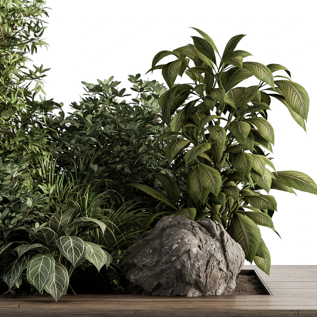 Garden Set Tropical Plants - Outdoor Plants Set 381 — Скачать