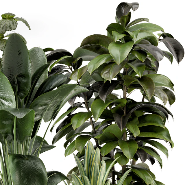 Indoor Plants in Ferm Living Bau Pot Large - Set 983 — Descargar