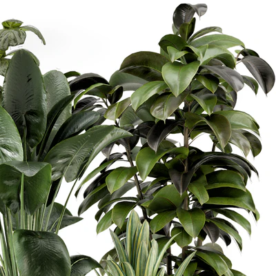 Indoor Plants in Ferm Living Bau Pot Large - Set 983 — Ver 4