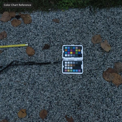 fallen leaves on aggregate concrete sidewalk texture — Вид 4