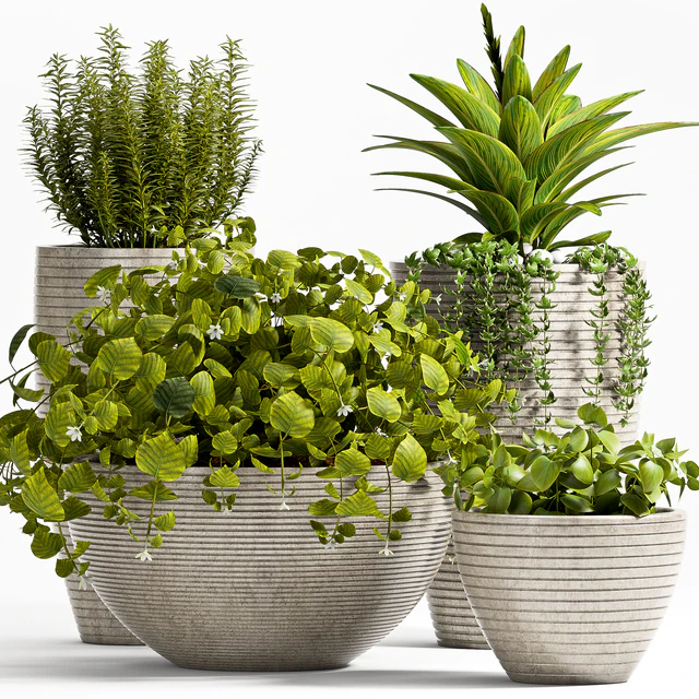 Plant 57 — Descargar