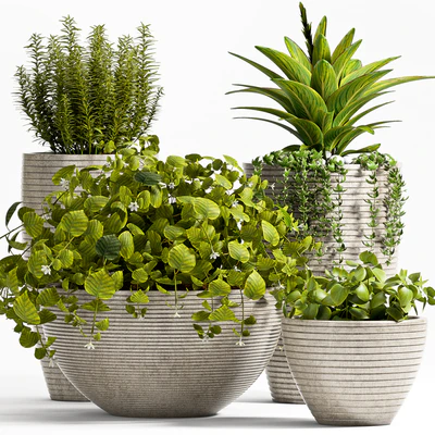 Plant 57 — Ver 1