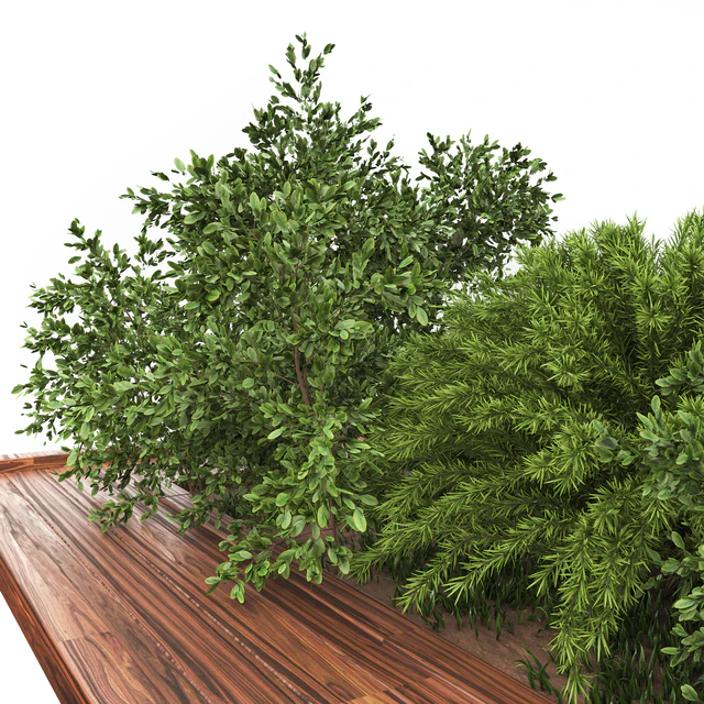 Garden set bush and Tree Set01 — Descargar