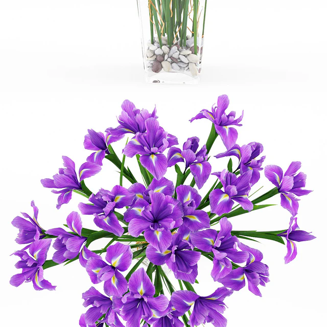 Irises 2 — Descargar