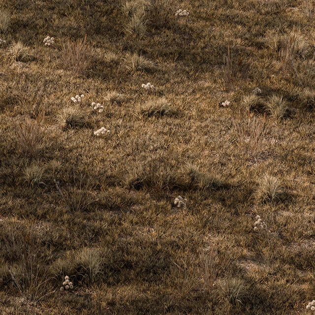 Dry Grass Set 16 — Descargar