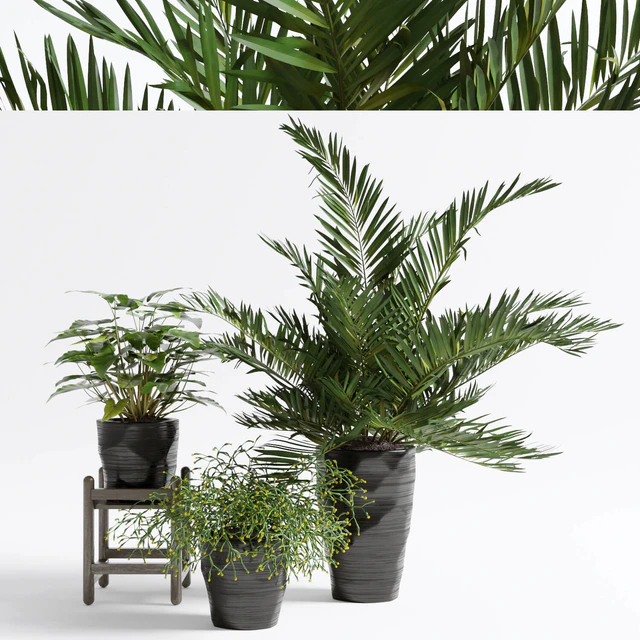 Green set 2 — Download