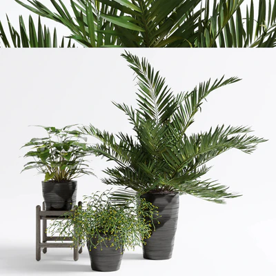 Green set 2 — View 1