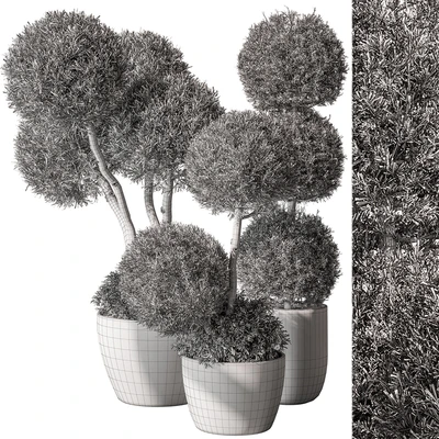 Outdoor Plant Set 414 - Topiary Ball Plant in Pot (Vray) — Ver 2