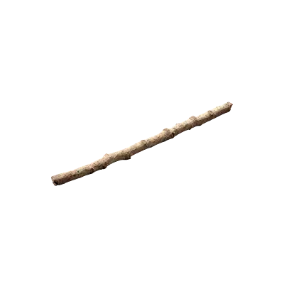tree debris 020 — Скачать