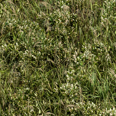 Wild Grass Green - Grass Set 01 — Вид 2