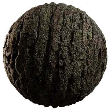 mossy tree bark 001 — Descargar