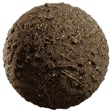 grass dried 031 — Descargar