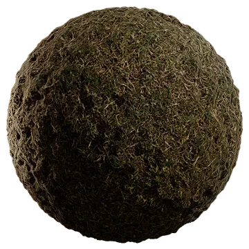 winter grass 001 — Скачать