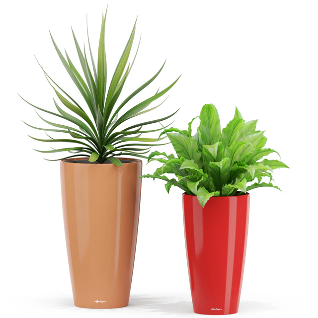 Plants collection 436 — Скачать