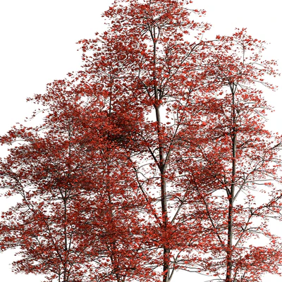 Indoor Plant 591 -Tree in Pot — Ver 3