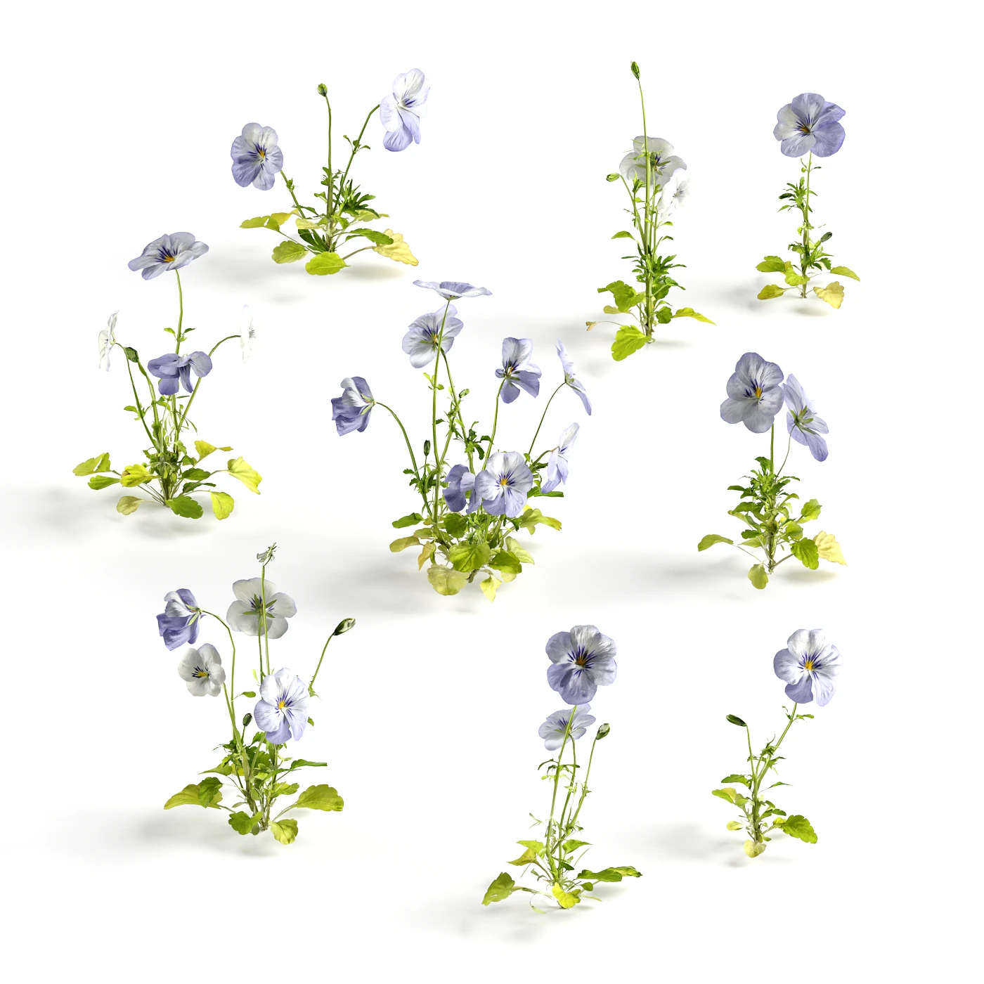 flowers and weeds 007 — Скачать