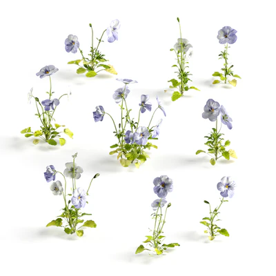 flowers and weeds 007 — Скачать