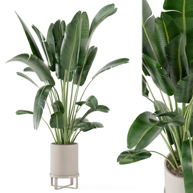 Indoor Plants in Ferm Living Bau Pot Large - Set 173 — Скачать