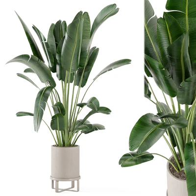 Indoor Plants in Ferm Living Bau Pot Large - Set 173 — Вид 1
