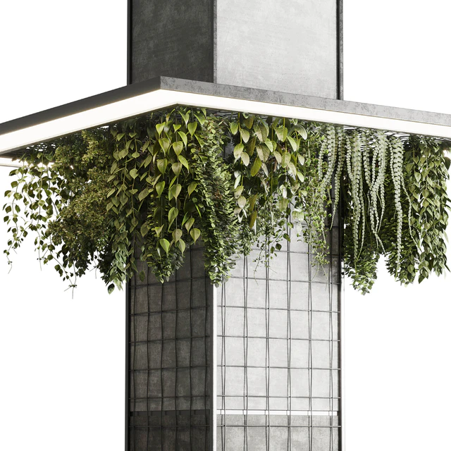 Column plant - pillar plant 05 — Descargar