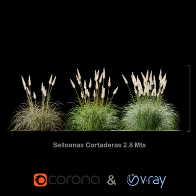 Selloanas Cortaderas Big — Descargar