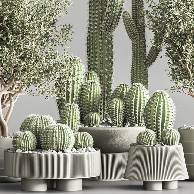 Cactus & plant vol 01 — Descargar