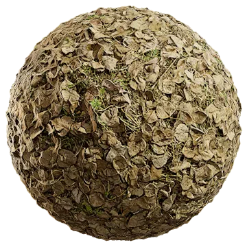 fallen leaves and grass 008 — Скачать