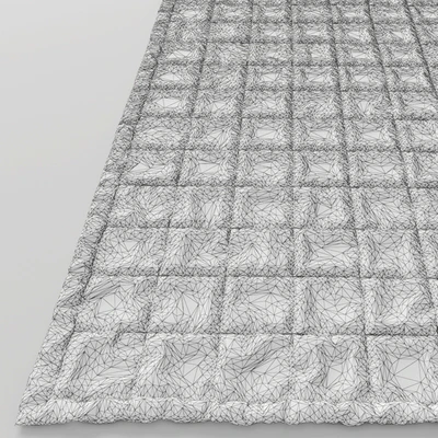Carpet — Ver 2